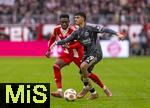 21.02.2026, Fussball Bundesliga 2025/2026, 23.Spieltag, FC Bayern München - Eintracht Frankfurt, in der Allianz-Arena München, v.li: Alphonso Davies (FC Bayern München) gegen Ayoube Amaimouni-Echghouya (Eintracht Frankfurt) 