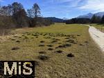 26.02.2026, Winterlandschaft bei F�ssen im Allg�u, am Hopfensee, am ersten warmen Sonnentag nach dem harten Winter.  Maulwurfsh�gel