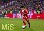 06.03.2026, Fussball Bundesliga 2025/2026, 25.Spieltag, FC Bayern München - Borussia Mönchengladbach, in der Allianz-Arena München, Maycon Cardozo (Bayern München) am Ball 