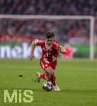 18.03.2026,  Fussball UEFA Championsleague 2025/2026: Achtelfinale Rückspiel,  FC Bayern München - Atalanta Bergamo, in der Allianz-Arena München, Tom Bischof (Bayern München) 