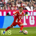 21.03.2026, Fussball Bundesliga 2025/2026, 27.Spieltag, FC Bayern München - 1.FC Union Berlin, in der Allianz-Arena München, Lennart Karl (FC Bayern München) am Ball 