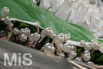 22.03.2026, Fussball 1. Bundesliga 2025/2026, 27.Spieltag, FC Augsburg - VfB Stuttgart, in der WWK-Arena Augsburg. Augsburger Fans bei der Choreografie mit Luftballone.