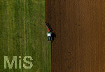 08.04.2026, Landwirtschaft, Bad Wörishofen im Allgäu. Landwirt pflügt jetzt im Frühling sein Feld, aus Wiese wird Acker. 