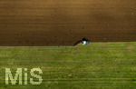 08.04.2026, Landwirtschaft, Bad Wörishofen im Allgäu. Landwirt pflügt jetzt im Frühling sein Feld, aus Wiese wird Acker.  Krähenvögel nutzen die frische Erde zur Nahrungssuche und umkreisen den Traktor dutzendweise.