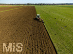 08.04.2026, Landwirtschaft, Bad Wörishofen im Allgäu. Landwirt pflügt jetzt im Frühling sein Feld, aus Wiese wird Acker.  Krähenvögel nutzen die frische Erde zur Nahrungssuche und umkreisen den Traktor dutzendweise.