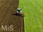 08.04.2026, Landwirtschaft, Bad Wörishofen im Allgäu. Landwirt pflügt jetzt im Frühling sein Feld, aus Wiese wird Acker.  Krähenvögel nutzen die frische Erde zur Nahrungssuche und umkreisen den Traktor dutzendweise.