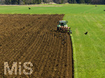 08.04.2026, Landwirtschaft, Bad Wörishofen im Allgäu. Landwirt pflügt jetzt im Frühling sein Feld, aus Wiese wird Acker.  Krähenvögel nutzen die frische Erde zur Nahrungssuche und umkreisen den Traktor dutzendweise.