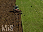 08.04.2026, Landwirtschaft, Bad Wörishofen im Allgäu. Landwirt pflügt jetzt im Frühling sein Feld, aus Wiese wird Acker.  Krähenvögel nutzen die frische Erde zur Nahrungssuche und umkreisen den Traktor dutzendweise.