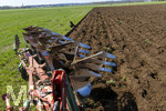 08.04.2026, Landwirtschaft, Bad Wörishofen im Allgäu. Landwirt pflügt jetzt im Frühling sein Feld, aus Wiese wird Acker. Das Pflügen des Feldes lockt zahlreiche Vögel auf Nahrungssuche an. Krähen und Greifvögel.