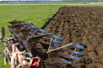 08.04.2026, Landwirtschaft, Bad Wörishofen im Allgäu. Landwirt pflügt jetzt im Frühling sein Feld, aus Wiese wird Acker. Das Pflügen des Feldes lockt zahlreiche Vögel auf Nahrungssuche an. Krähen und Greifvögel.