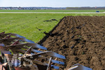 08.04.2026, Landwirtschaft, Bad Wörishofen im Allgäu. Landwirt pflügt jetzt im Frühling sein Feld, aus Wiese wird Acker. Das Pflügen des Feldes lockt zahlreiche Vögel auf Nahrungssuche an. Krähen und Greifvögel.