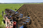 08.04.2026, Landwirtschaft, Bad Wörishofen im Allgäu. Landwirt pflügt jetzt im Frühling sein Feld, aus Wiese wird Acker. Das Pflügen des Feldes lockt zahlreiche Vögel auf Nahrungssuche an. Krähen und Greifvögel.