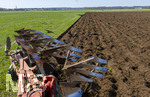 08.04.2026, Landwirtschaft, Bad Wörishofen im Allgäu. Landwirt pflügt jetzt im Frühling sein Feld, aus Wiese wird Acker. Das Pflügen des Feldes lockt zahlreiche Vögel auf Nahrungssuche an. Krähen und Greifvögel.
