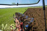 08.04.2026, Landwirtschaft, Bad Wörishofen im Allgäu. Landwirt pflügt jetzt im Frühling sein Feld, aus Wiese wird Acker. Das Pflügen des Feldes lockt zahlreiche Vögel auf Nahrungssuche an. Krähen und Greifvögel.