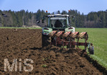 08.04.2026, Landwirtschaft, Bad Wörishofen im Allgäu. Landwirt pflügt jetzt im Frühling sein Feld, aus Wiese wird Acker. Das Pflügen des Feldes lockt zahlreiche Vögel auf Nahrungssuche an. Krähen und Greifvögel.