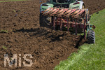 08.04.2026, Landwirtschaft, Bad Wörishofen im Allgäu. Landwirt pflügt jetzt im Frühling sein Feld, aus Wiese wird Acker. Das Pflügen des Feldes lockt zahlreiche Vögel auf Nahrungssuche an. Krähen und Greifvögel. 