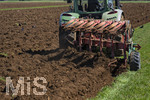 08.04.2026, Landwirtschaft, Bad Wörishofen im Allgäu. Landwirt pflügt jetzt im Frühling sein Feld, aus Wiese wird Acker. Das Pflügen des Feldes lockt zahlreiche Vögel auf Nahrungssuche an. Krähen und Greifvögel. 