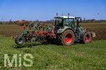 08.04.2026, Landwirtschaft, Bad Wörishofen im Allgäu. Landwirt pflügt jetzt im Frühling sein Feld, aus Wiese wird Acker. 