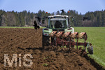 08.04.2026, Landwirtschaft, Bad Wörishofen im Allgäu. Landwirt pflügt jetzt im Frühling sein Feld, aus Wiese wird Acker. Das Pflügen des Feldes lockt zahlreiche Vögel auf Nahrungssuche an. Krähen und Greifvögel. 