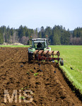 08.04.2026, Landwirtschaft, Bad Wörishofen im Allgäu. Landwirt pflügt jetzt im Frühling sein Feld, aus Wiese wird Acker. Das Pflügen des Feldes lockt zahlreiche Vögel auf Nahrungssuche an. Krähen und Greifvögel.