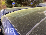 18.04.2026,  Mindelheim (Unterallgäu, Bayern), Extrem viele Blütenpollen von  Birken und Buchen bilden eine gelbe Schicht auf der Windschutzscheibe eines geparkten Autos an einem Frühlingstag.