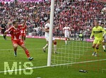 19.04.2026, Fussball Bundesliga 2025/2026, 30.Spieltag, FC Bayern München - VfB Stuttgart, in der Allianz-Arena München,   Tor zum 1:1 von Raphael Guerreiro (FC Bayern München) geegn Torwart Alexander Nübel (Stuttgart) 


