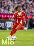 19.04.2026, Fussball Bundesliga 2025/2026, 30.Spieltag, FC Bayern München - VfB Stuttgart, in der Allianz-Arena München, Michael Olise (FC Bayern München) am Ball 