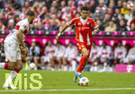 19.04.2026, Fussball Bundesliga 2025/2026, 30.Spieltag, FC Bayern München - VfB Stuttgart, in der Allianz-Arena München, Luis Diaz (FC Bayern München) am Ball 