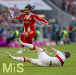 19.04.2026, Fussball Bundesliga 2025/2026, 30.Spieltag, FC Bayern München - VfB Stuttgart, in der Allianz-Arena München, v.li: Michael Olise (FC Bayern München) gegen Ramon Hendriks (Stuttgart) 