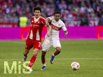 19.04.2026, Fussball Bundesliga 2025/2026, 30.Spieltag, FC Bayern München - VfB Stuttgart, in der Allianz-Arena München, v.li: Min-jae Kim (Bayern München, Minjae Kim) gegen Tiago Tomas (Stuttgart) 