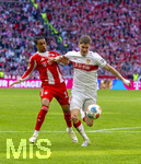 19.04.2026, Fussball Bundesliga 2025/2026, 30.Spieltag, FC Bayern München - VfB Stuttgart, in der Allianz-Arena München, v.li: Michael Olise (FC Bayern München) gegen Ramon Hendriks (Stuttgart) 