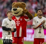 19.04.2026, Fussball Bundesliga 2025/2026, 30.Spieltag, FC Bayern München - VfB Stuttgart, in der Allianz-Arena München, die Spieler feiern nach dem Sieg die 35. Deutsche Meisterschaft. Die Mannschaft feiert mit den Fans und speziellen Meistertrikots mit Aufdruck des kultigen Porzellan-Kakadus mit Meisterschale. v.li:    Tom Bischof (Bayern München), Lennart Karl (FC Bayern München), Maskottchen Berni, Luis Diaz (FC Bayern München) 