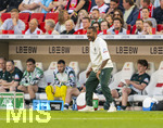 26.04.2026, Fussball 1. Bundesliga 2025/2026, 31.Spieltag, VfB Stuttgart - SV Werder Bremen, in der MHP-Arena Stuttgart, Trainer Daniel Thioune (Werder Bremen) in Rage an der Seitenlinie.