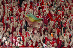 28.04.2026, Fussball UEFA Championsleague 2025/2026: Halbfinale Hinspiel,  Paris St. Germain - FC Bayern München, im Stadion Parc de Princes in Paris (Frankreich). Bayernfans feuern ihre Mannschaft an 