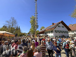 01.05.2026, Bad Wörishofen (Unterallgäu), gelebte Kultur und Brauchtum mit dem Maibaumfest: Das traditionelle Maifest mit Trachtenumzug, Tänzen, Musik und Bewirtung für Bürger und Gäste zieht hunderte Besucher bei sonnigem Frühlingswetter an. Traditionellens Kneippstädter Maifest beim Kunst- und Kulturhaus zum Gugger vom Trachtenverein Alpenblick e.V. Bad Wörishofen. 
 