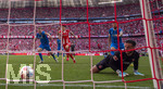 02.05.2026, Fussball Bundesliga 2025/2026, 32.Spieltag, FC Bayern München - 1.FC Heidenheim, in der Allianz-Arena München, Das entscheidende Tor zum 3:3.Ausgleich von Michael Olise (nicht im Bild, FC Bayern München), der Ball prallt vom Pfosten an das Bein von Torwart Diant Ramaj (re, 1.FC Heidenheim) und geht ins Tor. re: Marnon Busch (1. FC Heidenheim 1846) li: Patrick Mainka (1.FC Heidenheim) und Min-jae Kim (Bayern München, Minjae Kim)  

