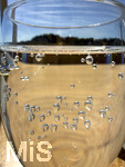05.05.2026, Der Moorsee Elbsee bei Aitrang im Allgäu, Restaurant Elbsee, am Tisch steht ein sprudelndes Glas Wasser, die Kohlensäure ist mit den Blasen an der Glaswand sichtbar.