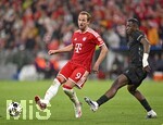 06.05.2026, Fussball UEFA Championsleague 2025/2026: Halbfinale Rückpiel,  FC Bayern München - Paris St. Germain, in der Allianz-Arena München, v.l. Harry Kane (FC Bayern München) gegen Willian Pacho (FC Paris Saint-Germain) 
  


