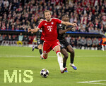 06.05.2026, Fussball UEFA Championsleague 2025/2026: Halbfinale Rückpiel,  FC Bayern München - Paris St. Germain, in der Allianz-Arena München, von links:  Harry Kane (FC Bayern München) gegen Willian Pacho (FC Paris Saint-Germain) 