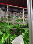 06.05.2026, Fussball UEFA Championsleague 2025/2026: Halbfinale Rückpiel,  FC Bayern München - Paris St. Germain, in der Allianz-Arena München, Nach dem Ausscheiden der Bayern, die Reste der Fanchoreografie der Bayernfans leigen in der Südkurve verstreut, die Fans sind heimgegangen.