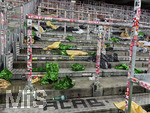 06.05.2026, Fussball UEFA Championsleague 2025/2026: Halbfinale Rückpiel,  FC Bayern München - Paris St. Germain, in der Allianz-Arena München, Nach dem Ausscheiden der Bayern, die Reste der Fanchoreografie der Bayernfans leigen in der Südkurve verstreut, die Fans sind heimgegangen.