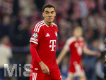 06.05.2026, Fussball UEFA Championsleague 2025/2026: Halbfinale Rückpiel,  FC Bayern München - Paris St. Germain, in der Allianz-Arena München, Jamal Musiala (Bayern München) nachdenklich 