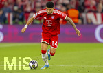 06.05.2026, Fussball UEFA Championsleague 2025/2026: Halbfinale Rückpiel,  FC Bayern München - Paris St. Germain, in der Allianz-Arena München, Luis Diaz (FC Bayern München) am Ball 