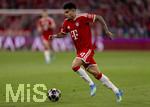 06.05.2026, Fussball UEFA Championsleague 2025/2026: Halbfinale Rückpiel,  FC Bayern München - Paris St. Germain, in der Allianz-Arena München, Luis Diaz (FC Bayern München) am Ball 