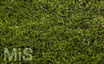 06.05.2026, Fussball UEFA Championsleague 2025/2026: Halbfinale Rückpiel,  FC Bayern München - Paris St. Germain, in der Allianz-Arena München, Detailaufnahme Spielfeld, Rasen, Gras, 