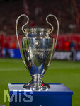 06.05.2026, Fussball UEFA Championsleague 2025/2026: Halbfinale Rückpiel,  FC Bayern München - Paris St. Germain, in der Allianz-Arena München, Der Championsleage-Pokal steht auf der Stele bereit.