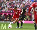 16.05.2026, Fussball Bundesliga 2025/2026, 34.Spieltag, FC Bayern München - 1.FC Köln, in der Allianz-Arena München,   v.l. Jamal Musiala (Bayern München) gegen Eric Martel (Köln) 


