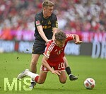 16.05.2026, Fussball Bundesliga 2025/2026, 34.Spieltag, FC Bayern München - 1.FC Köln, in der Allianz-Arena München,   v.l. Isak Johannesson (1.FC Köln) gegen Tom Bischof (Bayern München) 


