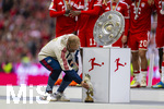 16.05.2026, Fussball Bundesliga 2025/2026, 34.Spieltag, FC Bayern München - 1.FC Köln, in der Allianz-Arena München, Nach dem Spiel die Siegerehrung für den Deutschen Meister Bayern München, Co-Trainer stellt den berühmten Kakadu an den Sockel der Meisterschale.