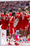 16.05.2026, Fussball Bundesliga 2025/2026, 34.Spieltag, FC Bayern München - 1.FC Köln, in der Allianz-Arena München, Nach dem Spiel die Siegerehrung für den Deutschen Meister Bayern München, Michael Olise (FC Bayern München) versteckt sich etwas schüchtern hinter der Meisterschale,